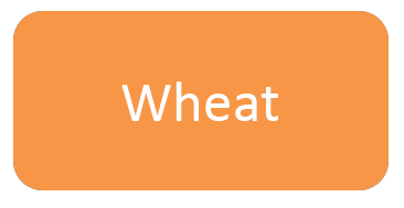 Wheat